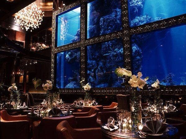 まるで水族館デート 素敵な水槽があるcafe Barで親密度アップ Rettyグルメニュース