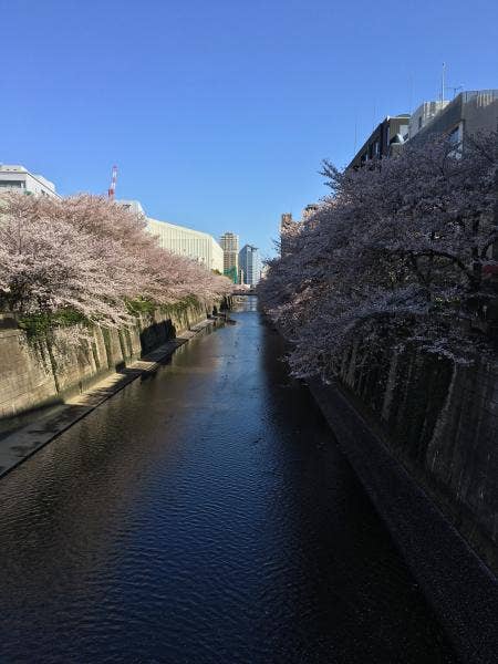 AOBAYA