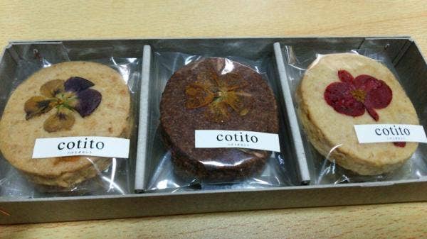 cotito~ハナトオカシト〜
